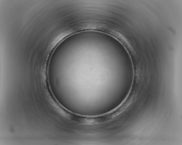 X0000115730794200911121511
