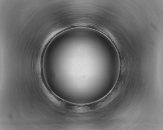 X0000115730795200911121511