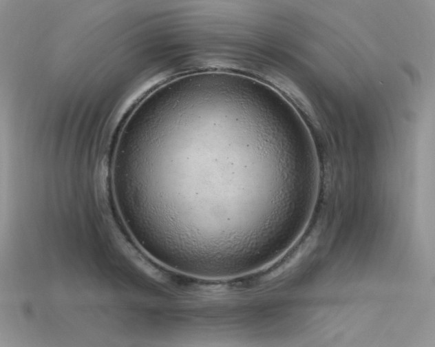 X0000115730798200911121511