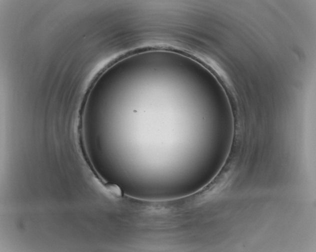 X0000115730799200911121511