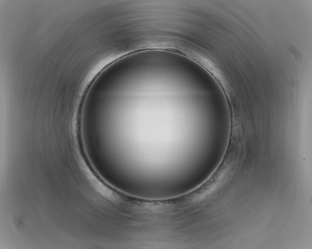 X0000115730803200911121511