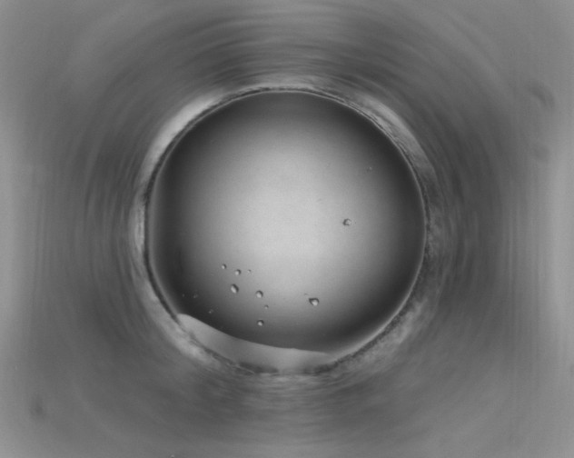 X0000115730804200911121511