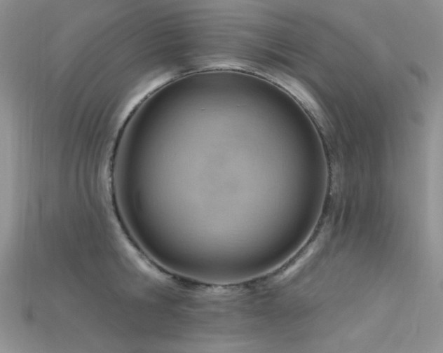 X0000115730806200911121511