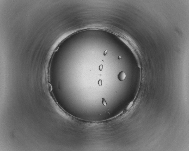 X0000115730808200911121510