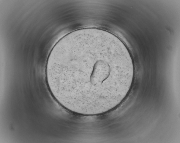 X0000115730810200911121510