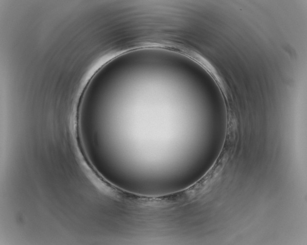 X0000115730811200911121510