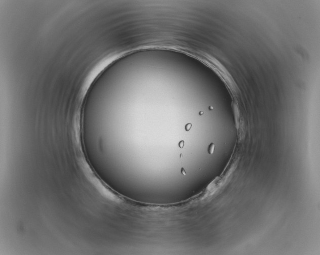 X0000115730812200911121510