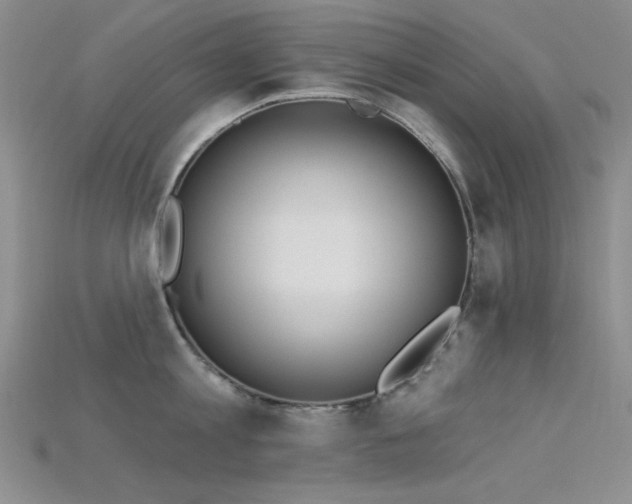 X0000115730813200911121510