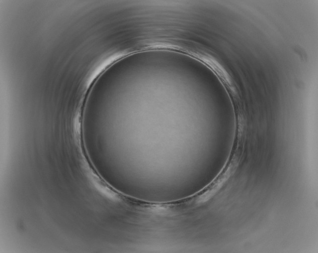 X0000115730814200911121510