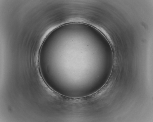 X0000115730815200911121510