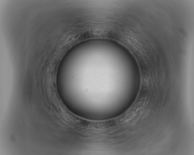 X0000115730817200911121510