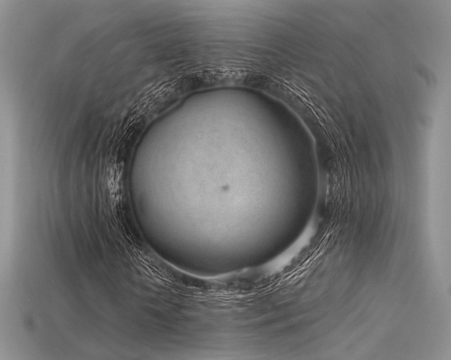 X0000115730818200911121510