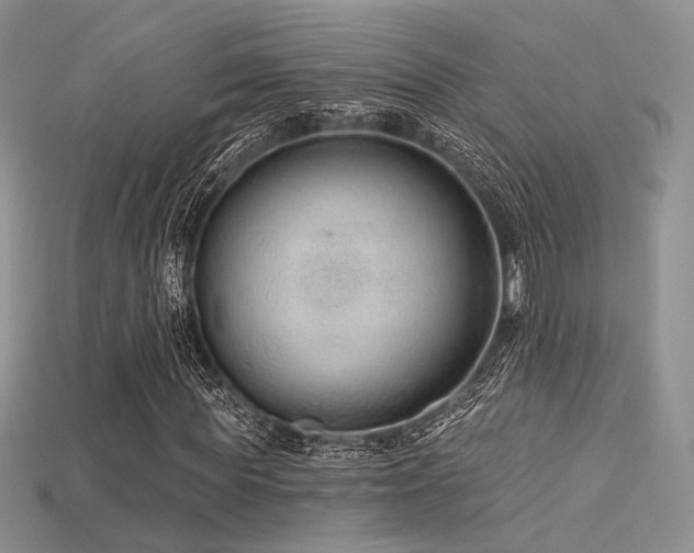 X0000115730819200911121510