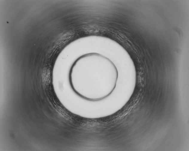 X0000115730820200911121510