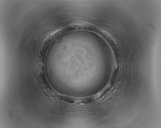 X0000115730822200911121510