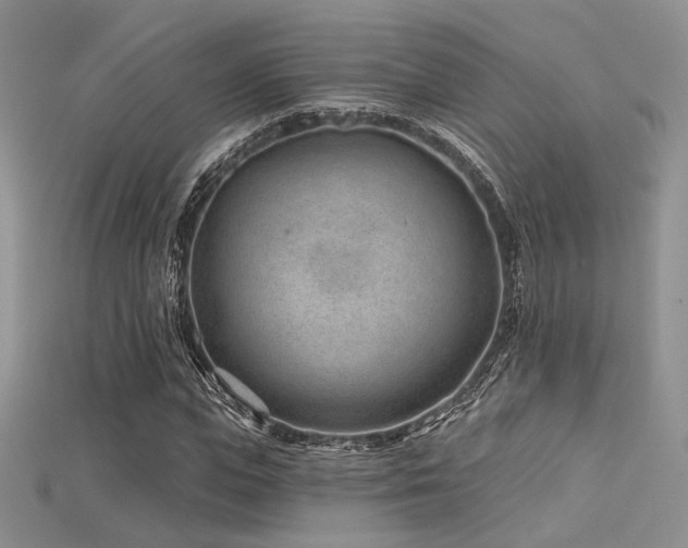 X0000115730823200911121510