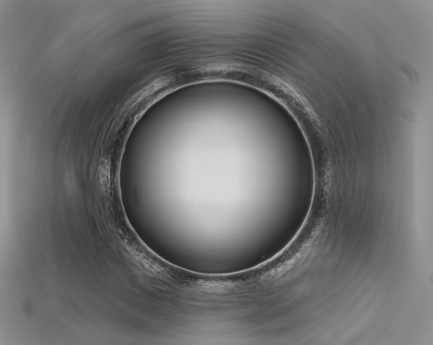X0000115730825200911121510