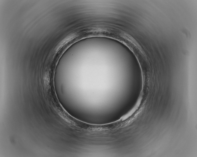 X0000115730826200911121510
