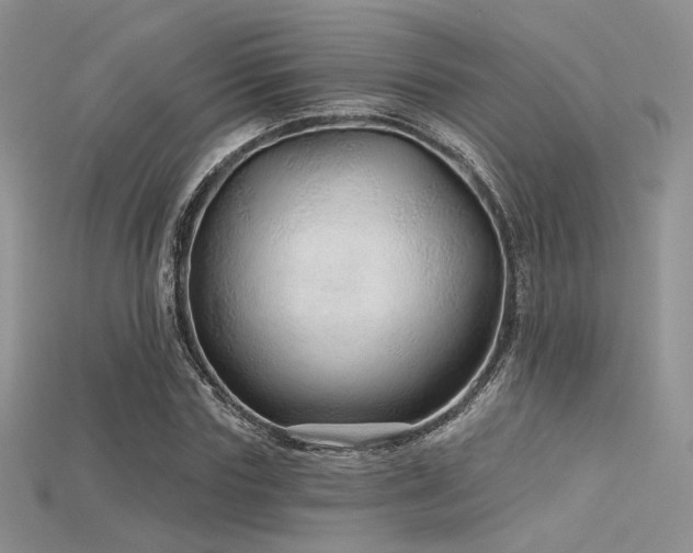X0000115730827200911121510