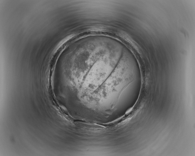 X0000115730829200911121510