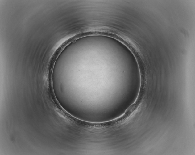 X0000115730830200911121510
