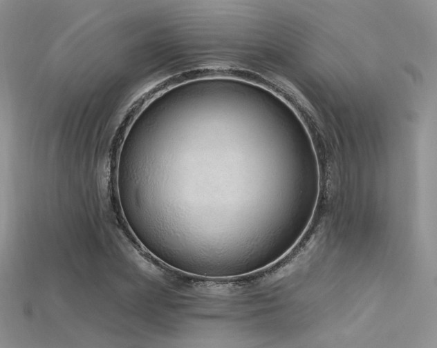X0000115730831200911121510