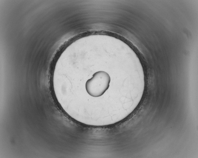 X0000115730832200911121510