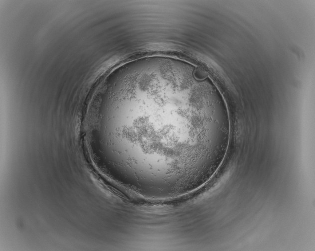 X0000115730833200911121510