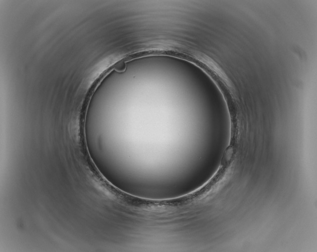 X0000115730834200911121510