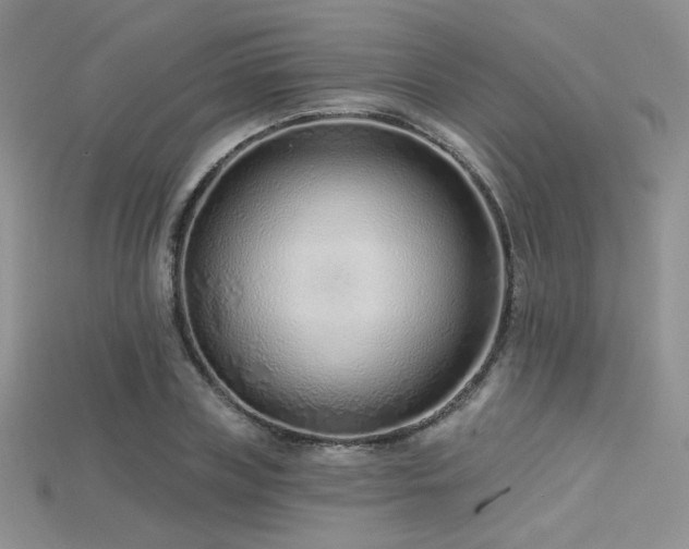 X0000115730835200911121510