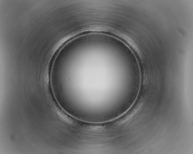 X0000115730837200911121510