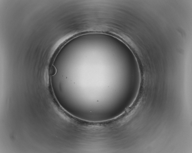 X0000115730838200911121510