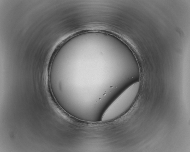 X0000115730840200911121510