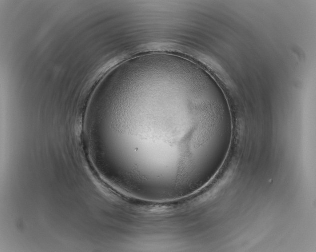 X0000115730841200911121510