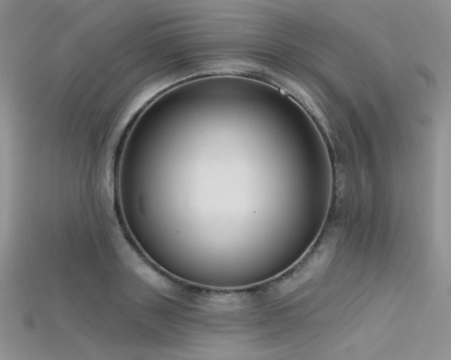 X0000115730843200911121510
