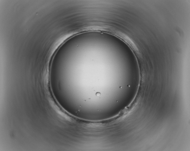 X0000115730844200911121510