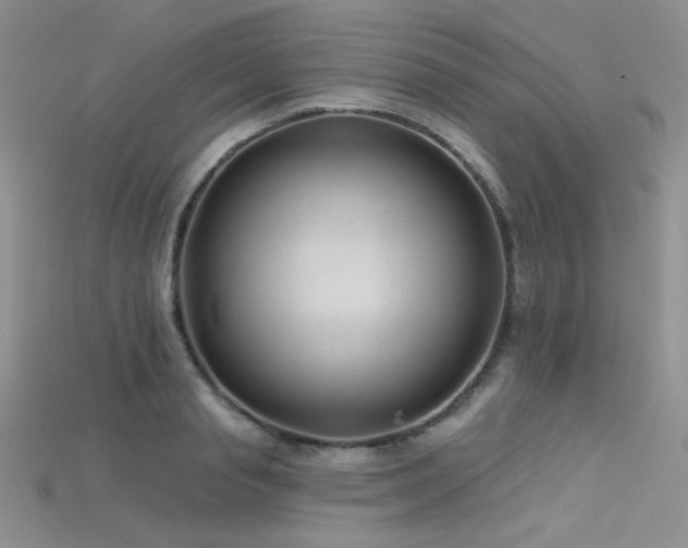 X0000115730845200911121510