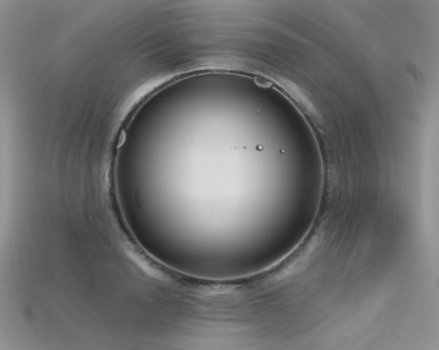 X0000115730846200911121510