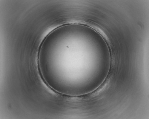 X0000115730847200911121510