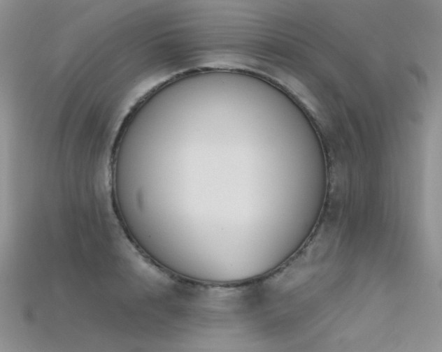 X0000115730848200911121510