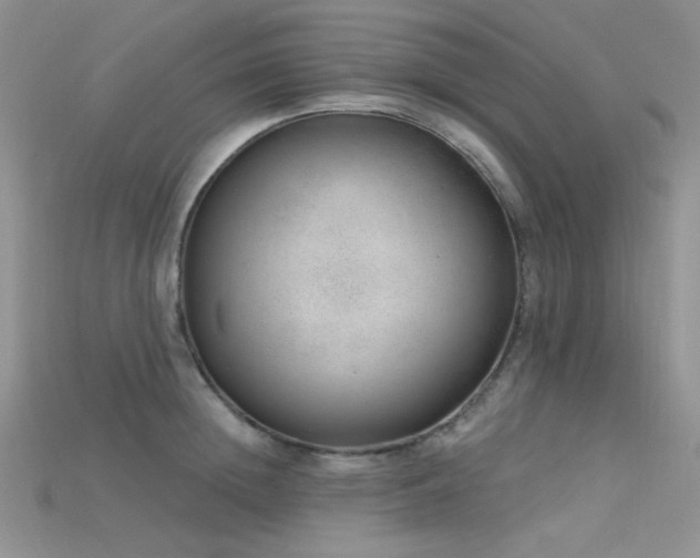 X0000115730852200911121510