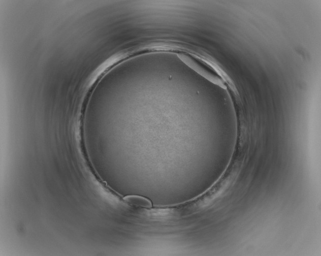 X0000115730853200911121510