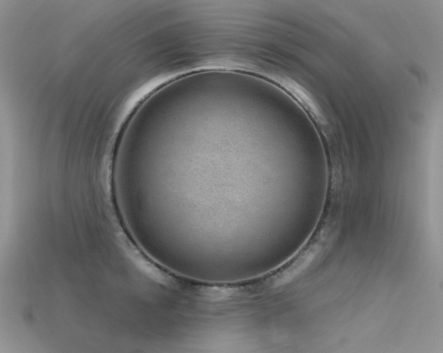X0000115730854200911121510