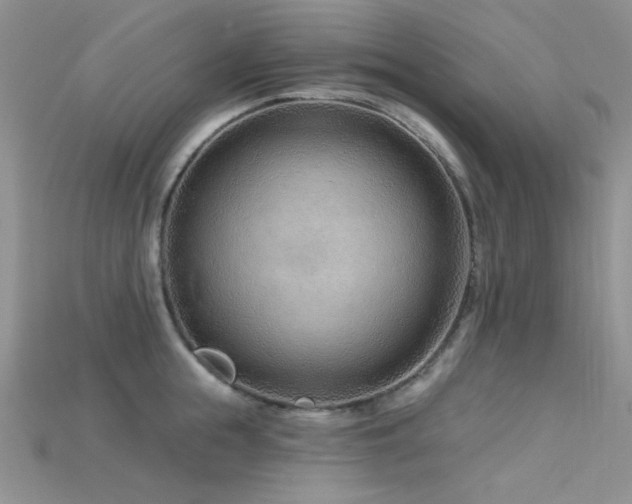 X0000115730855200911121510