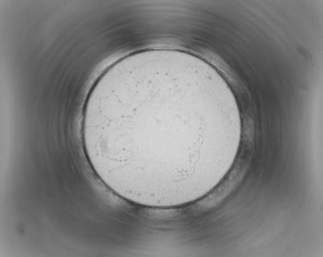 X0000115730856200911121510