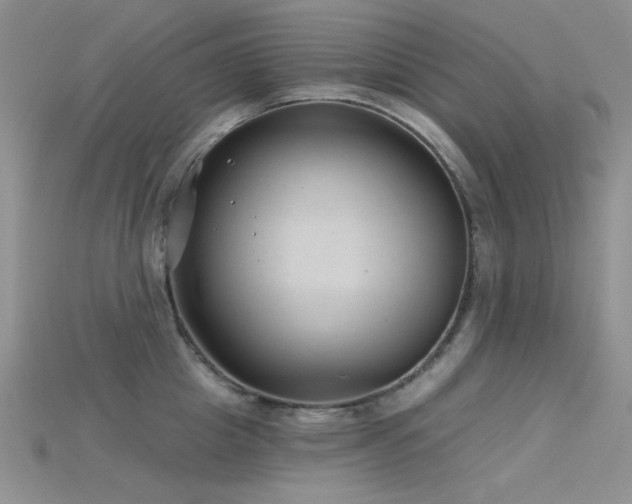 X0000115730857200911121510