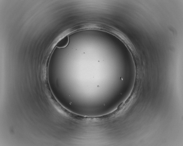 X0000115730858200911121510