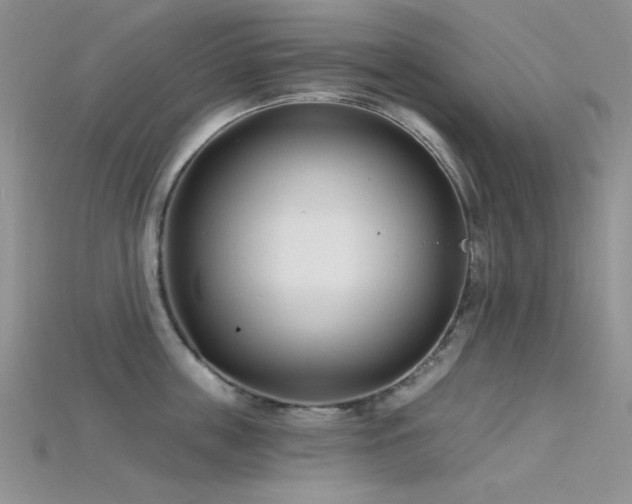 X0000115730859200911121510