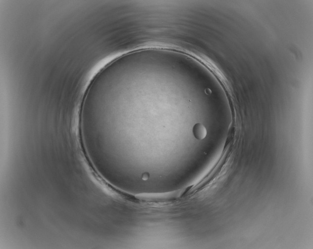 X0000115730862200911121510