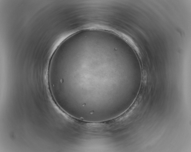 X0000115730863200911121510